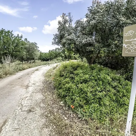Lemoredinella 3* מונופולי
