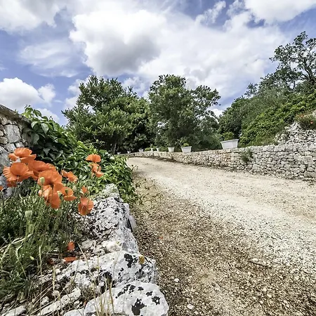 Lemoredinella Bed & Breakfast
