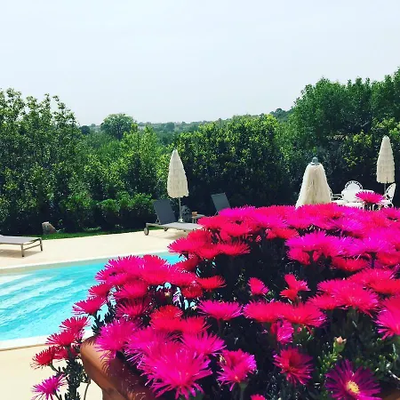 Bed & Breakfast Lemoredinella 3*