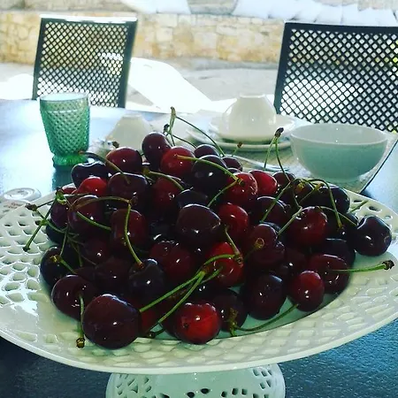 Lemoredinella Monopoli
